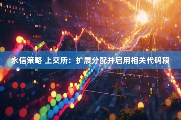 永信策略 上交所：扩展分配并启用相关代码段